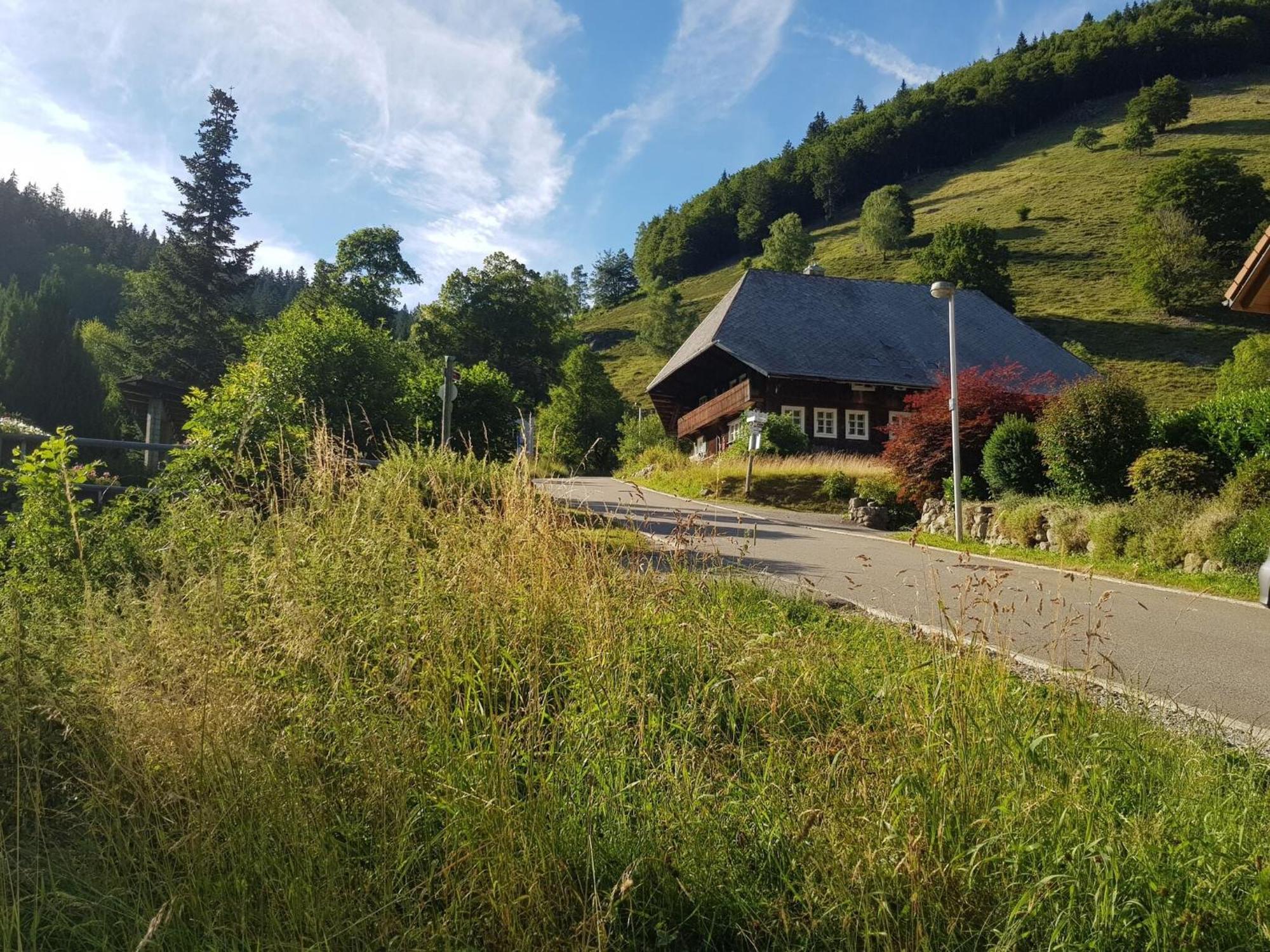 Apartment In Brandenberg With Terrace Todtnau Bagian luar foto